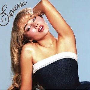 Espresso Sabrina inspired top